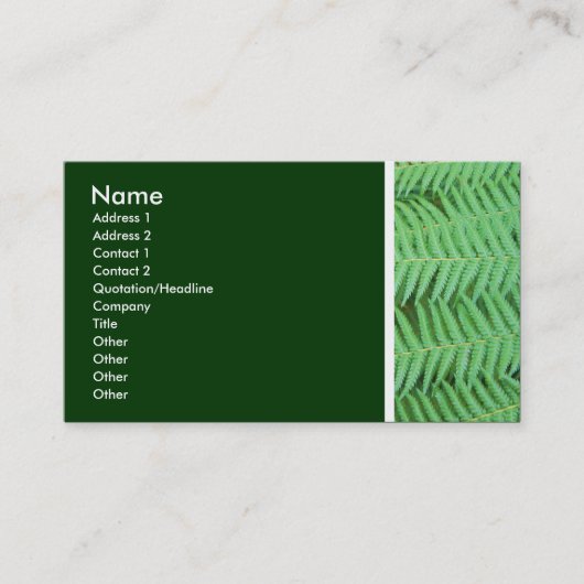 Texturstein (Ferns) Visitenkarte (Vorderseite)