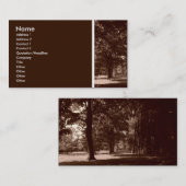 Texturstein (Im Park) II Visitenkarte (Vorne/Hinten)