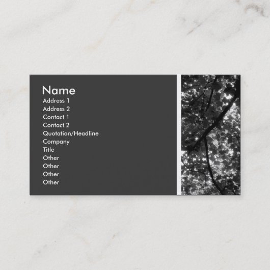 Texturstein (in den Bäumen) II Visitenkarte (Vorderseite)