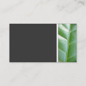 Texturstein - Leaf Visitenkarte (Rückseite)