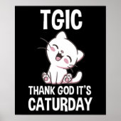 TGIC Thank God It's Caturday Poster (Vorne)