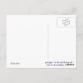 TGIF Rosary Postkarte (Rückseite)