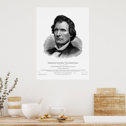 Thaddeus Stevens Print Poster (Küche)