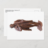 Thaddeus Stevens Statue in Gettysburg, PA-Postkart Postkarte (Vorne/Hinten)