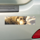 Thai Beach Dog Autoaufkleber (Auf Auto)