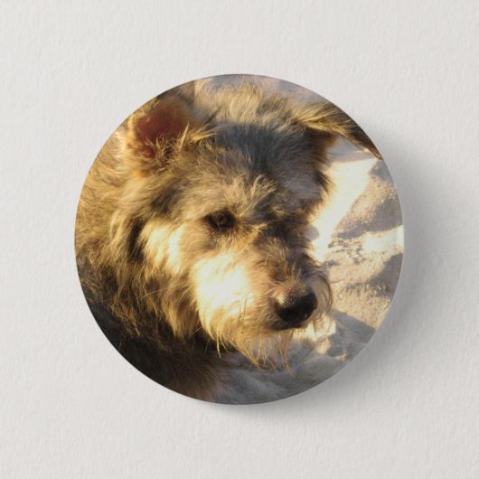 Thai Beach Dog Button (Vorderseite)