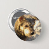 Thai Beach Dog Button (Vorne & Hinten)