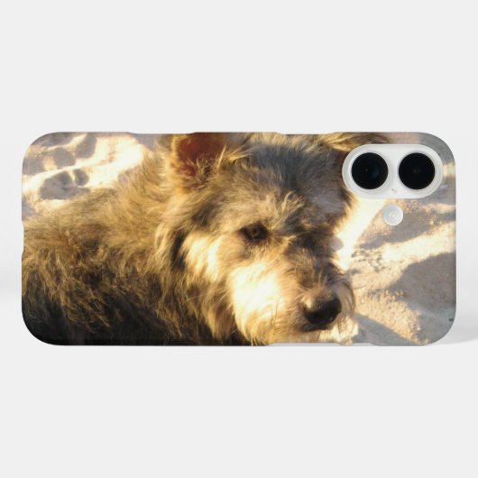Thai Beach Dog Case-Mate iPhone Hülle (Rückseite (Horizontal))