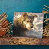 Thai Beach Dog Fotoplatte (Seite)