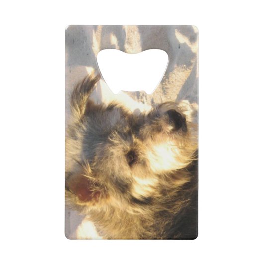 Thai Beach Dog Geldbeutel Flaschenöffner (Vorderseite)