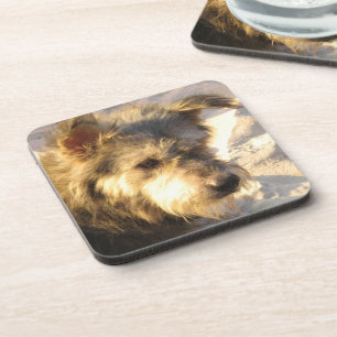 Thai Beach Dog Getränkeuntersetzer