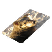 Thai Beach Dog Magnet (Linke Seite)