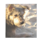 Thai Beach Dog Notizblock (Vorderseite)