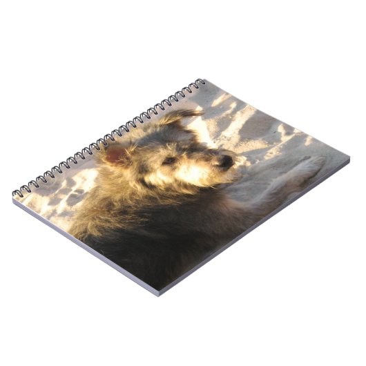 Thai Beach Dog Notizblock (Linke Seite)