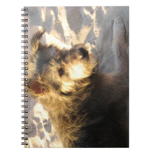 Thai Beach Dog Notizblock (Vorderseite)