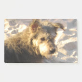 Thai Beach Dog Post-it Klebezettel (Vorderseite)