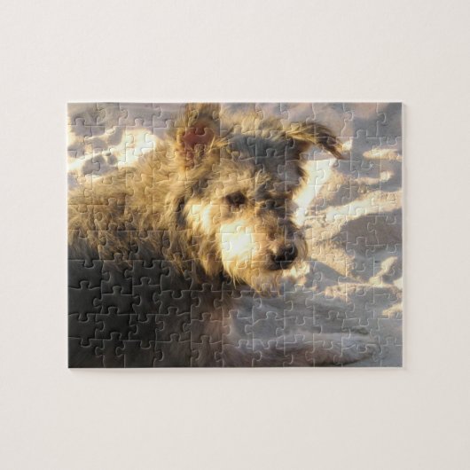 Thai Beach Dog Puzzle (Horizontal)