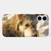 Thai Beach Hund iPhone Hülle (Rückseite (Horizontal))