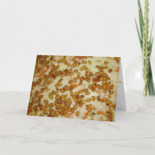 "Thai Chicken Pizza" Holen Sie sich Well Card Karte
