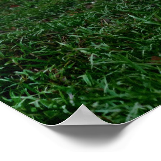 Thai Elephant Poster (Ecke)