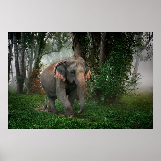 Thai Elephant Poster (Vorne)