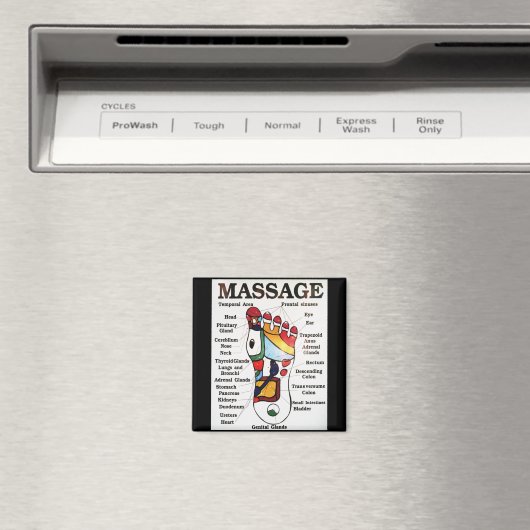 Thai Foot Massage ~ Reflexology map Magnet (In Situ (Geschirrspüler))