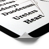 Thai Foot Massage ~ Reflexology map Poster (Ecke)