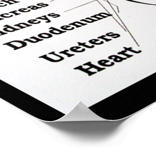 Thai Foot Massage ~ Reflexology map Poster (Ecke)