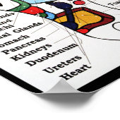 Thai Foot Massage ~ Reflexology map Poster (Ecke)