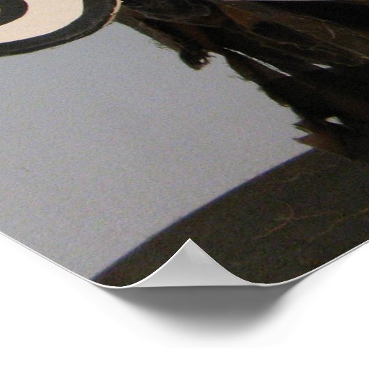 Thai Ghost Face, Phi Ta Khon Mask Festival, Loei Poster (Ecke)