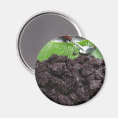 Thai Lao Black Sticky Rice [Khao Niao Dam] Magnet (Vorderseite/Rückseite)