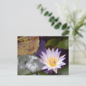 Thai Lotus, Bienen und Fische Postkarte (Stehend Vorderseite)