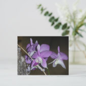 Thai Orchid Postkarte (Stehend Vorderseite)