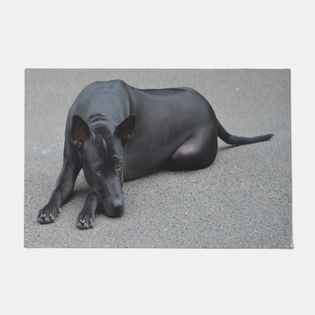 Thai Ridgeback Dog Fußmatte (Vorderseite)
