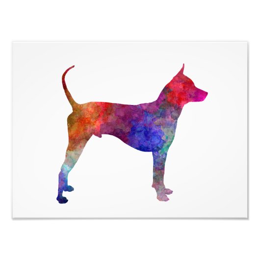 Thai Ridgeback Dog im Watercolor Fotodruck (Vorne)