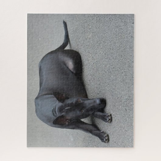 Thai Ridgeback Hunde Jigsaws. Puzzle (Vertikal)