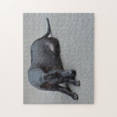 Thai Ridgeback Hunde Jigsaws. Puzzle (Vertikal)