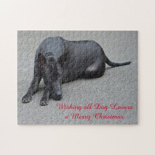 Thai Ridgeback Hunde Jigsaws. Puzzle (Horizontal)