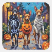Thai Ridgeback Trick-or-Treating Halloween Costume Quadratischer Aufkleber (Vorderseite)