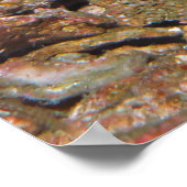 Thai Scorpionfish Portrait Poster (Ecke)