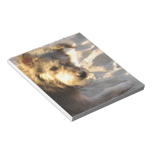 Thai Strandhund Notizblock (angewinkelt)