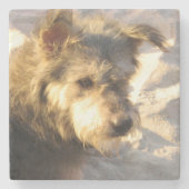Thai Strandhund Steinuntersetzer (Vorderseite)