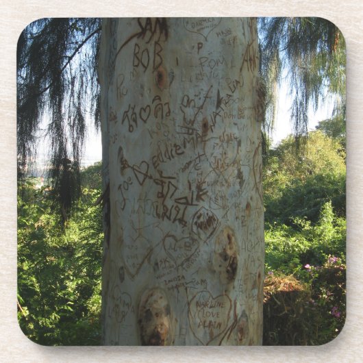 Thai Tree Graffiti Getränkeuntersetzer (Vorderseite)