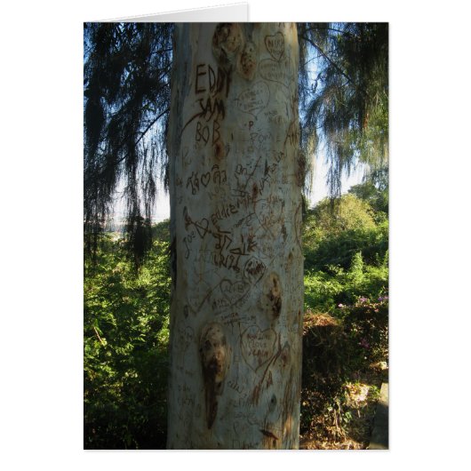 Thai Tree Graffiti Karte (Vorne)