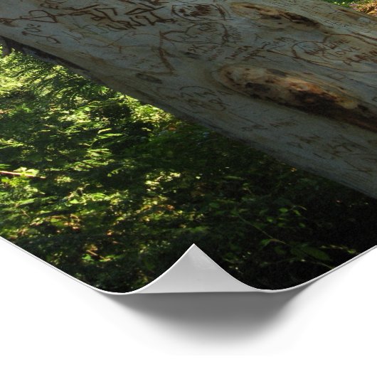 Thai Tree Graffiti Poster (Ecke)