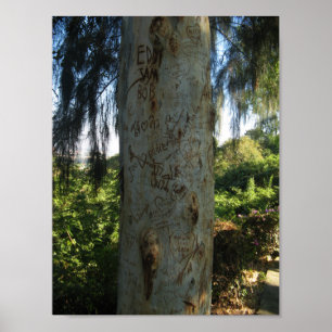 Thai Tree Graffiti Poster