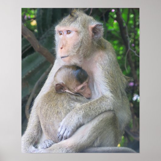 Thailand-Affenmutter und Kind umarmen sich Poster (Vorne)