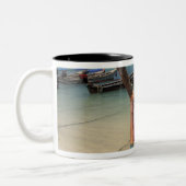 Thailand, Andaman Sea, Ko Phi Phi Island, Zweifarbige Tasse (Links)