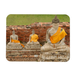 Thailand, Ayutthaya. Statuen sitzender Buddhas Magnet