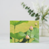 Thailand, Bangkok. Grand Palace, Lotus Postkarte (Stehend Vorderseite)